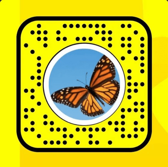 Snapcode for the Butterflies Lens