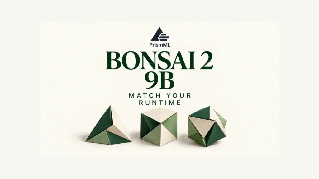 Bonsai — original conceptual illustration